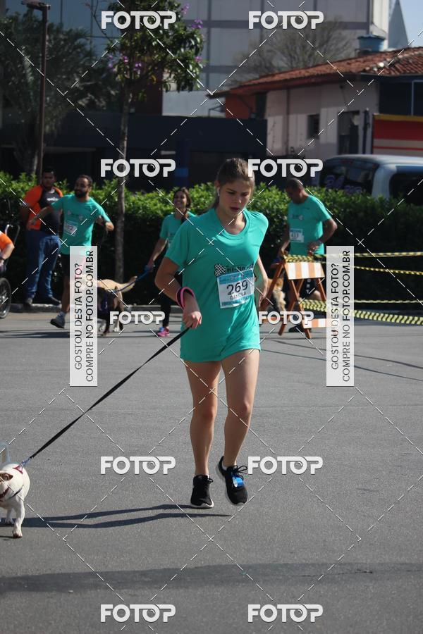 Buy your photos of the event2 Pet Run Shopping Eldorado  on Fotop