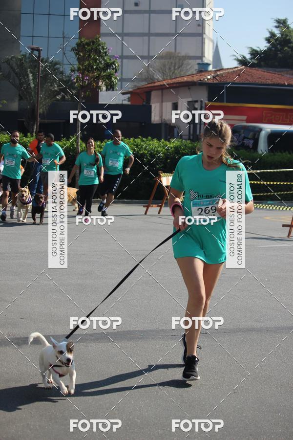 Buy your photos of the event2 Pet Run Shopping Eldorado  on Fotop