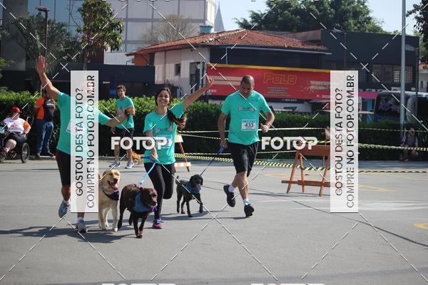 Buy your photos of the event2 Pet Run Shopping Eldorado  on Fotop