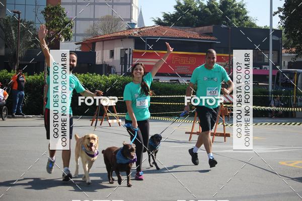 Buy your photos of the event2 Pet Run Shopping Eldorado  on Fotop