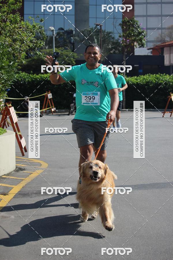 Buy your photos of the event2 Pet Run Shopping Eldorado  on Fotop