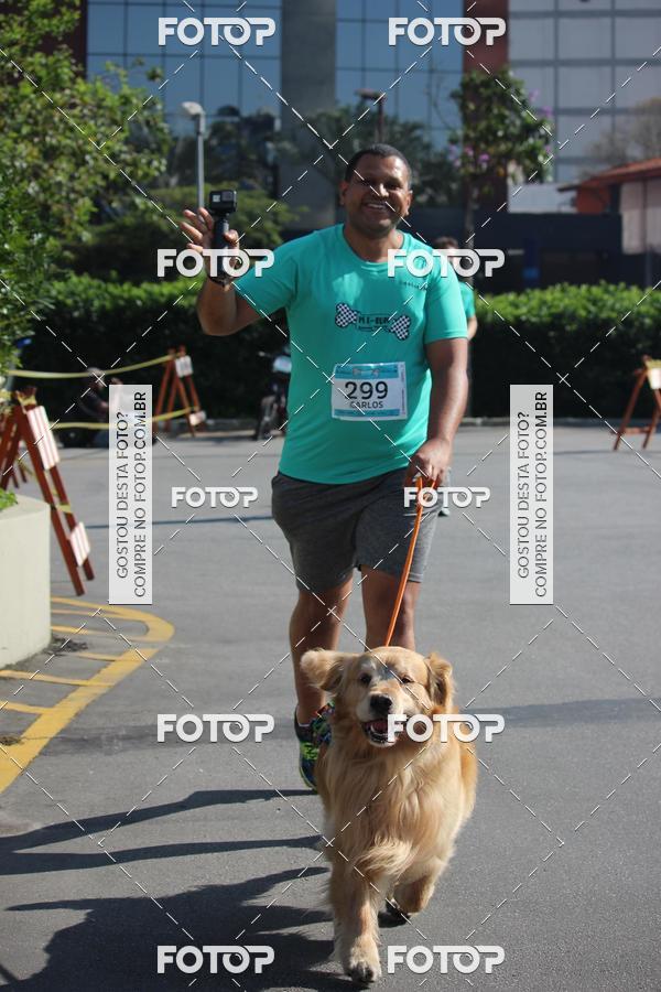 Buy your photos of the event2 Pet Run Shopping Eldorado  on Fotop