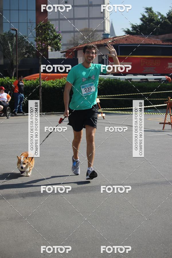 Buy your photos of the event2 Pet Run Shopping Eldorado  on Fotop