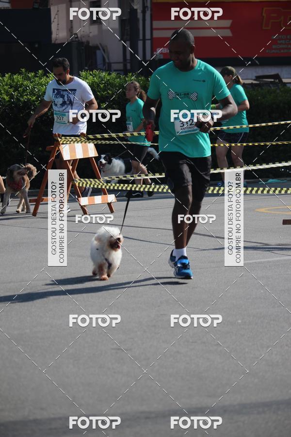 Buy your photos of the event2 Pet Run Shopping Eldorado  on Fotop
