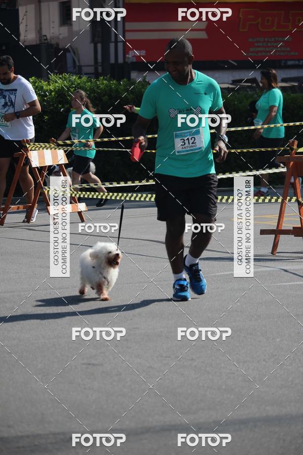 Buy your photos of the event2 Pet Run Shopping Eldorado  on Fotop