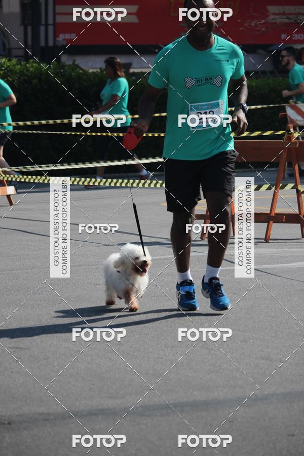 Buy your photos of the event2 Pet Run Shopping Eldorado  on Fotop