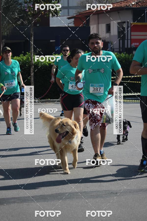 Buy your photos of the event2 Pet Run Shopping Eldorado  on Fotop