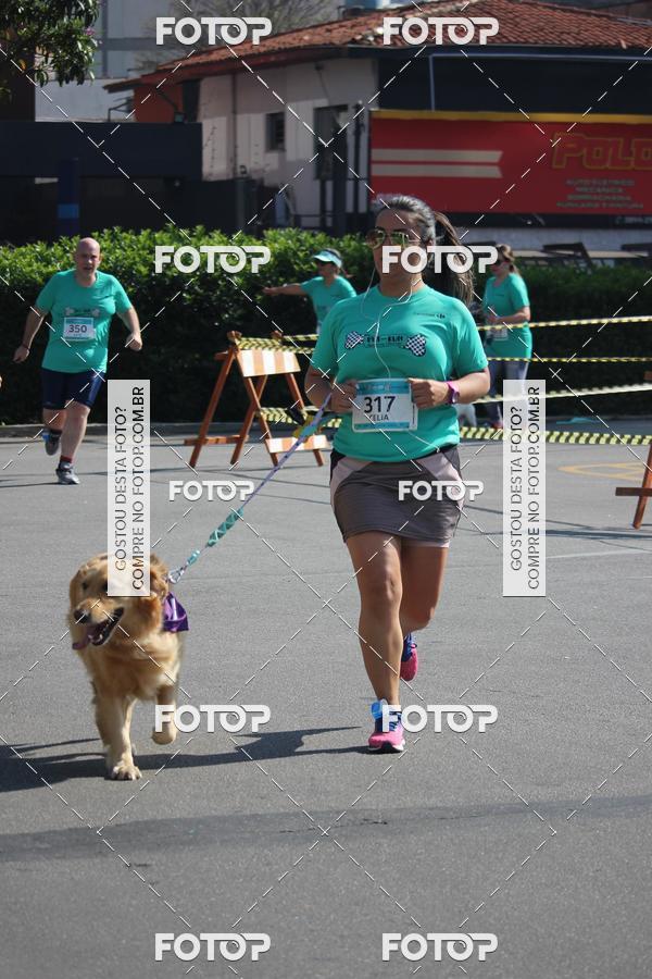 Buy your photos of the event2 Pet Run Shopping Eldorado  on Fotop