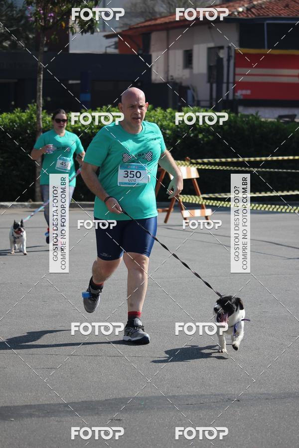 Buy your photos of the event2 Pet Run Shopping Eldorado  on Fotop