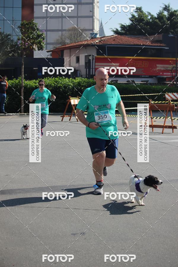 Buy your photos of the event2 Pet Run Shopping Eldorado  on Fotop