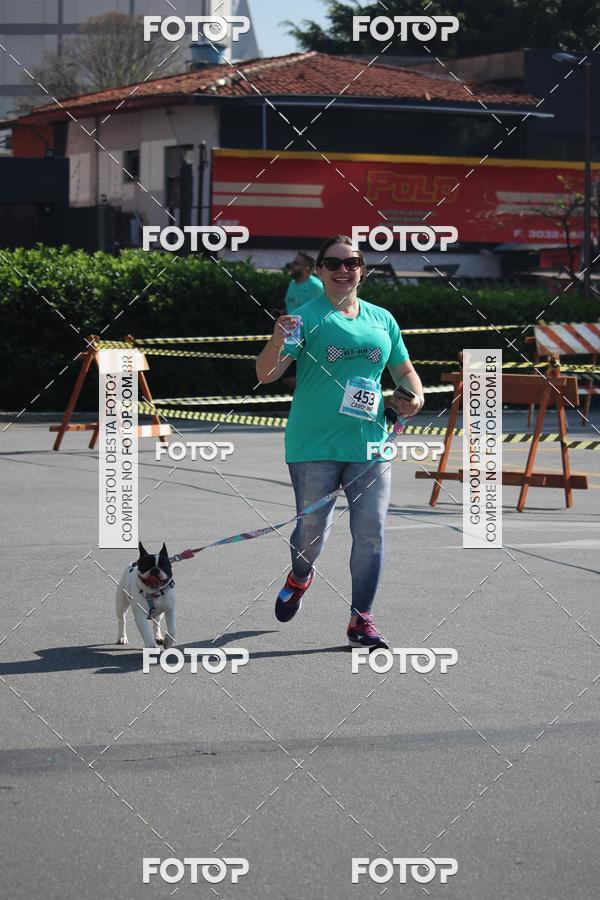 Buy your photos of the event2 Pet Run Shopping Eldorado  on Fotop