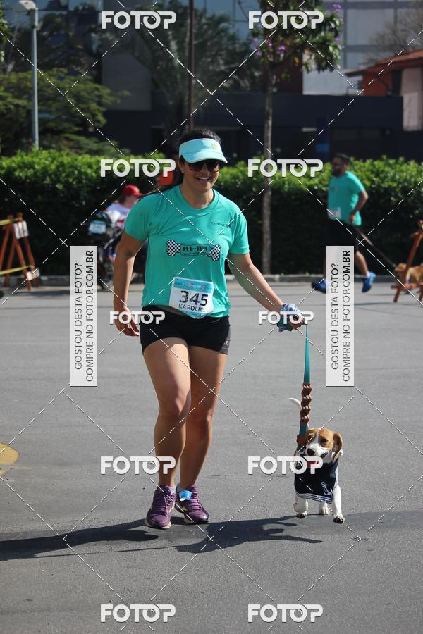 Buy your photos of the event2 Pet Run Shopping Eldorado  on Fotop