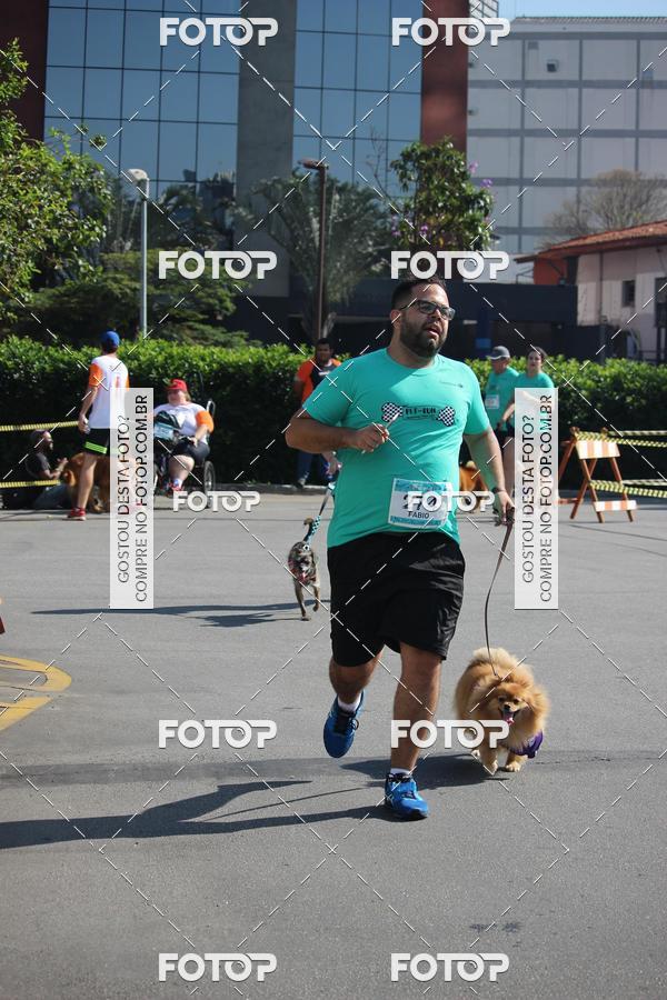 Buy your photos of the event2 Pet Run Shopping Eldorado  on Fotop