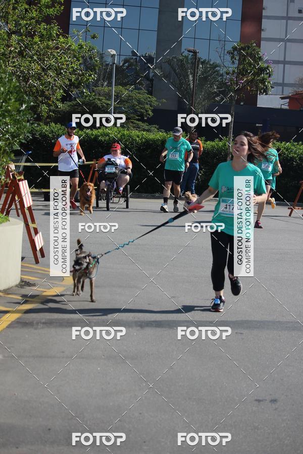 Buy your photos of the event2 Pet Run Shopping Eldorado  on Fotop