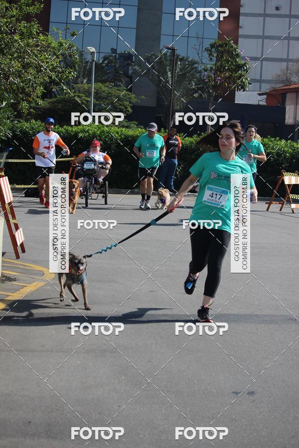Buy your photos of the event2 Pet Run Shopping Eldorado  on Fotop