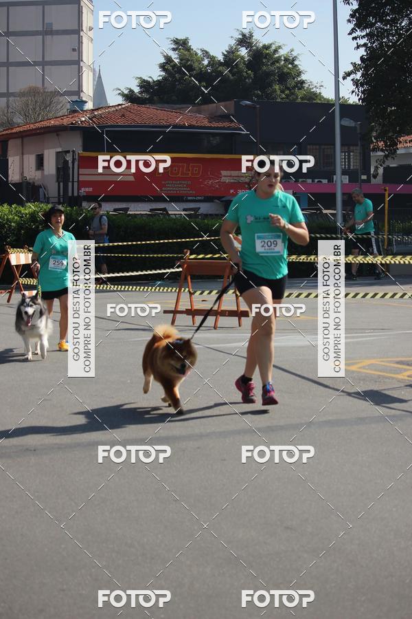 Buy your photos of the event2 Pet Run Shopping Eldorado  on Fotop
