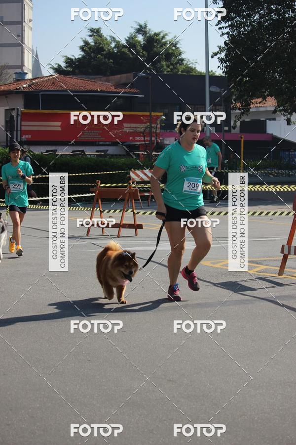 Buy your photos of the event2 Pet Run Shopping Eldorado  on Fotop