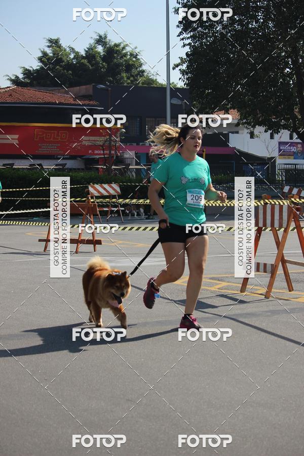 Buy your photos of the event2 Pet Run Shopping Eldorado  on Fotop