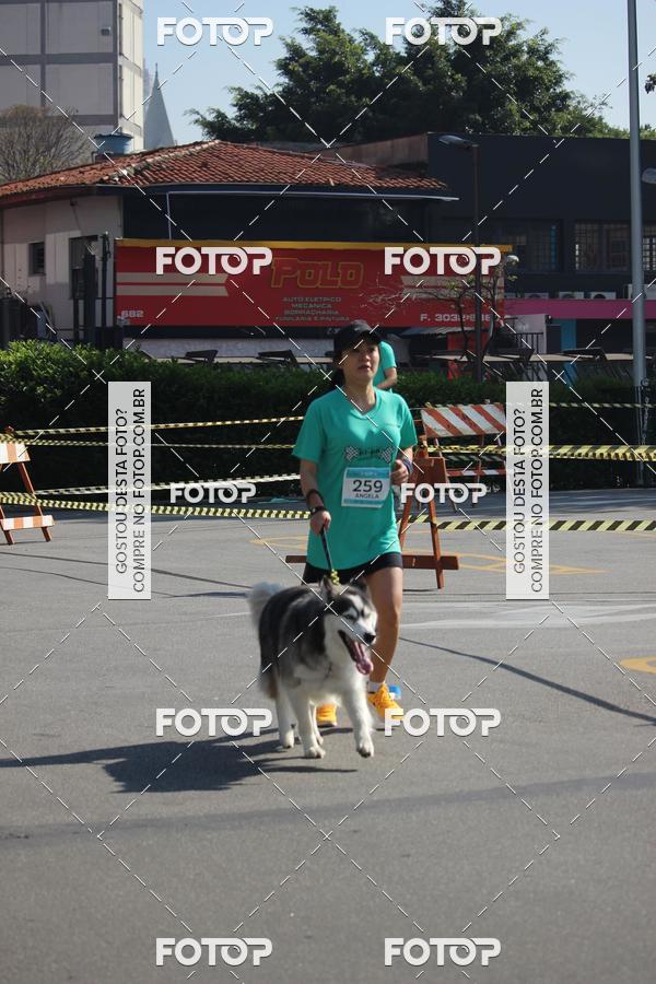 Buy your photos of the event2 Pet Run Shopping Eldorado  on Fotop