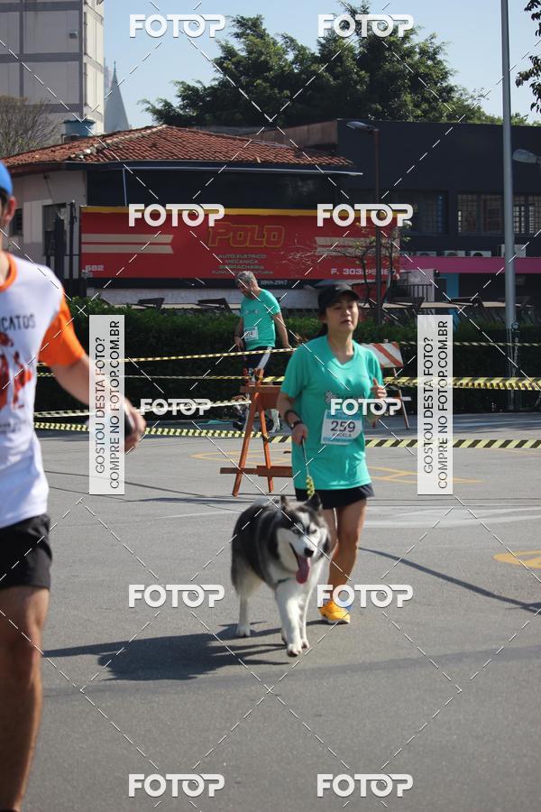 Buy your photos of the event2 Pet Run Shopping Eldorado  on Fotop