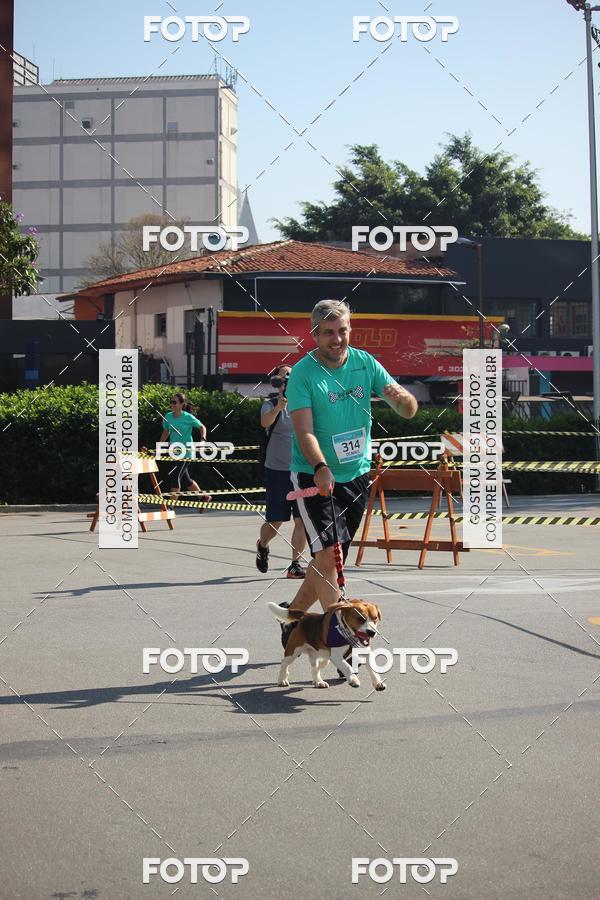 Buy your photos of the event2 Pet Run Shopping Eldorado  on Fotop
