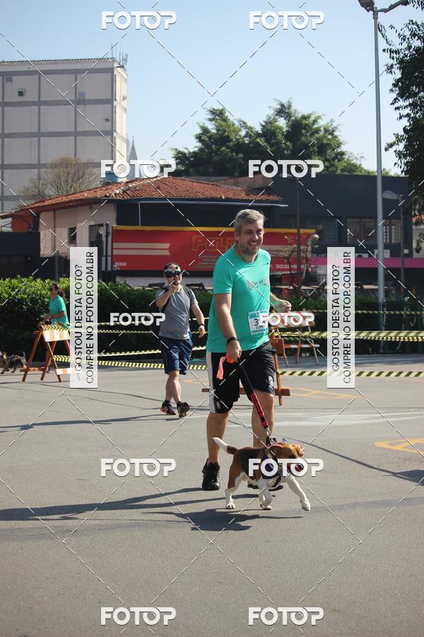 Buy your photos of the event2 Pet Run Shopping Eldorado  on Fotop