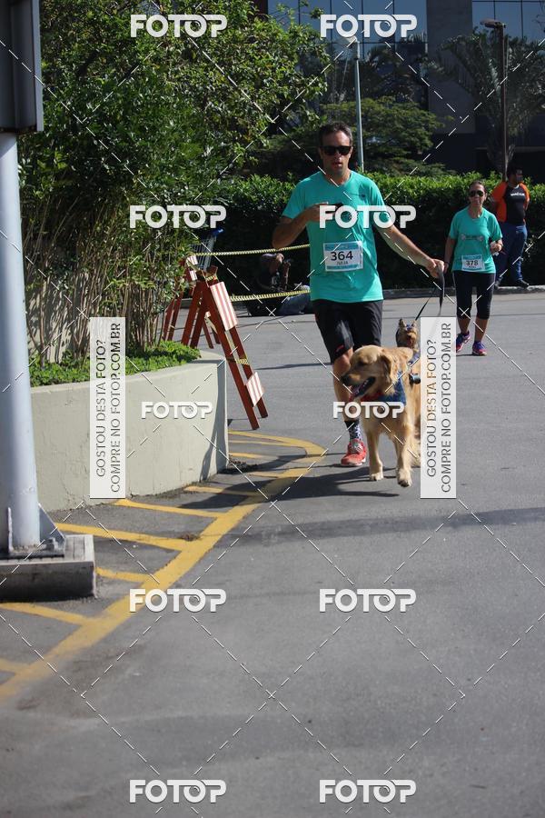 Buy your photos of the event2 Pet Run Shopping Eldorado  on Fotop