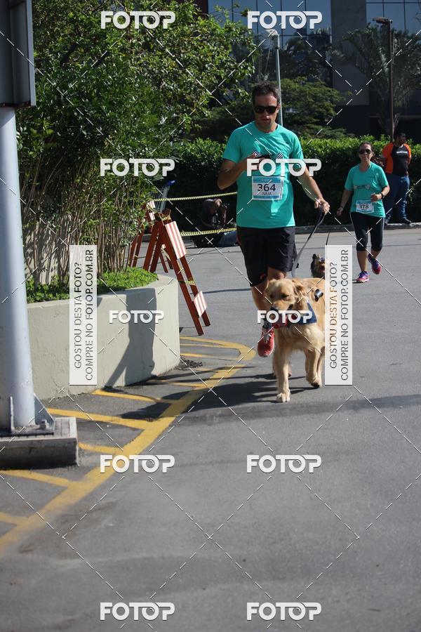 Buy your photos of the event2 Pet Run Shopping Eldorado  on Fotop