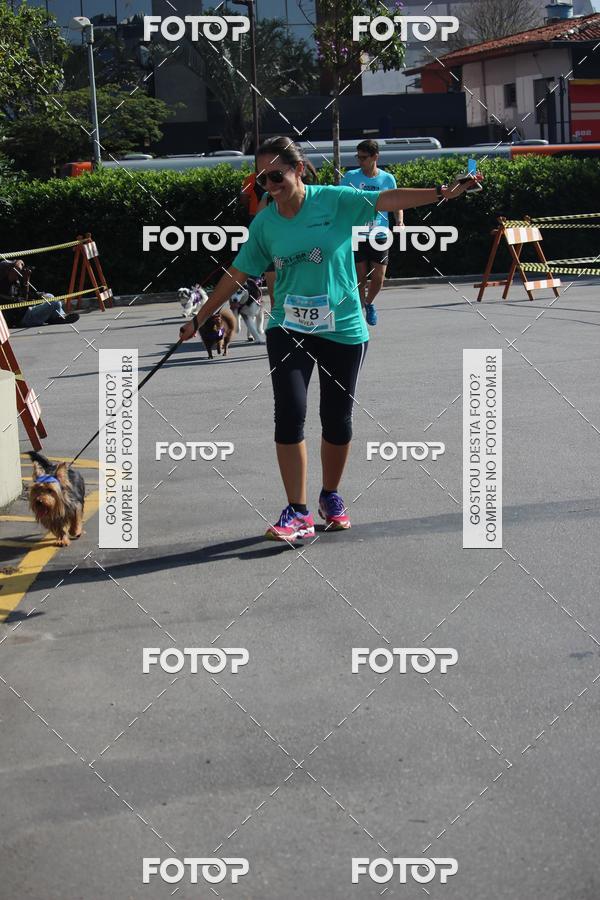 Buy your photos of the event2 Pet Run Shopping Eldorado  on Fotop