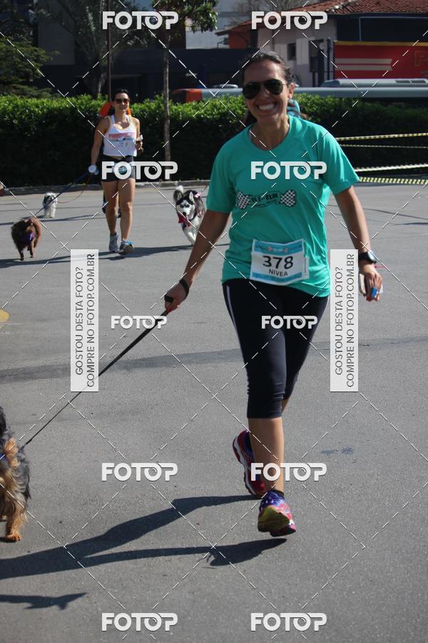 Buy your photos of the event2 Pet Run Shopping Eldorado  on Fotop