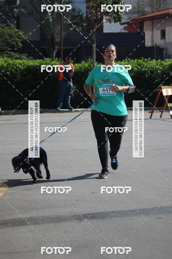 Buy your photos of the event2 Pet Run Shopping Eldorado  on Fotop