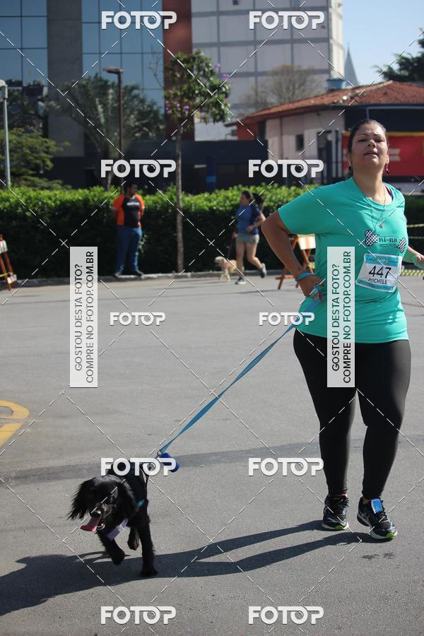Buy your photos of the event2 Pet Run Shopping Eldorado  on Fotop