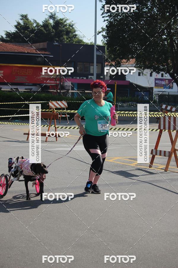 Buy your photos of the event2 Pet Run Shopping Eldorado  on Fotop