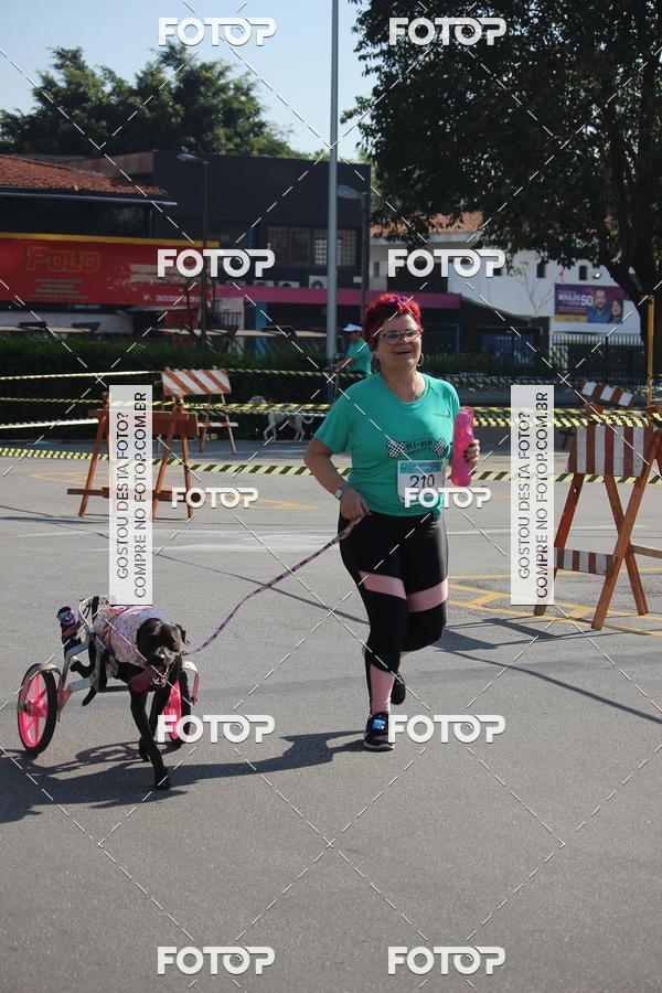 Buy your photos of the event2 Pet Run Shopping Eldorado  on Fotop