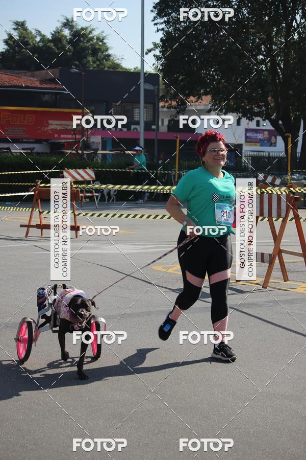 Buy your photos of the event2 Pet Run Shopping Eldorado  on Fotop