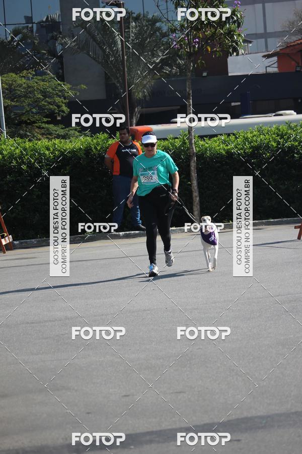 Buy your photos of the event2 Pet Run Shopping Eldorado  on Fotop