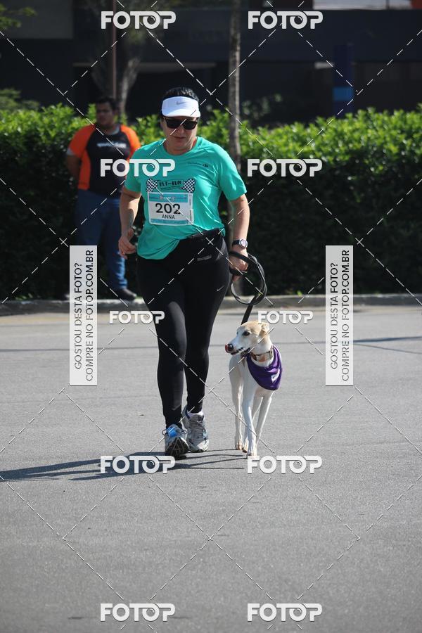 Buy your photos of the event2 Pet Run Shopping Eldorado  on Fotop