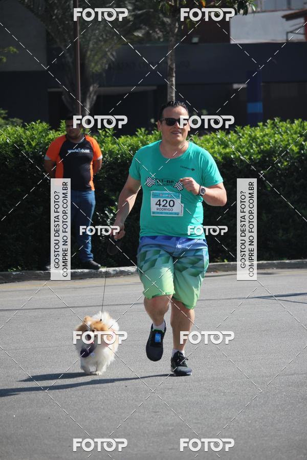 Buy your photos of the event2 Pet Run Shopping Eldorado  on Fotop