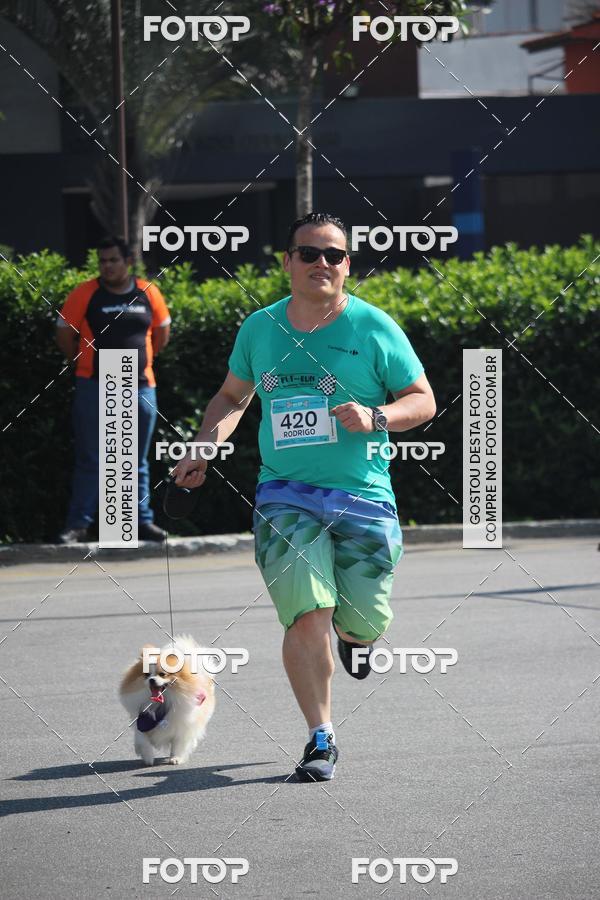 Buy your photos of the event2 Pet Run Shopping Eldorado  on Fotop