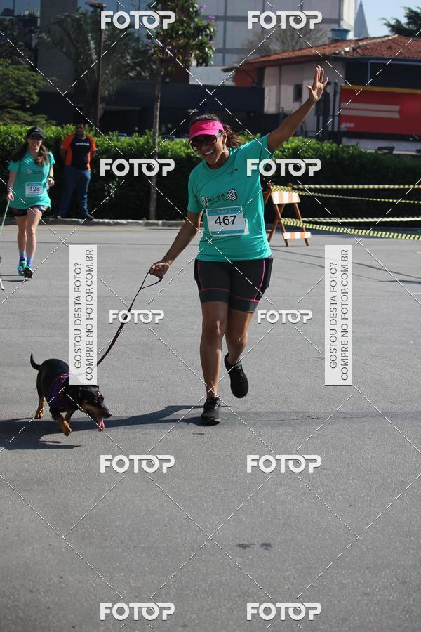 Buy your photos of the event2 Pet Run Shopping Eldorado  on Fotop