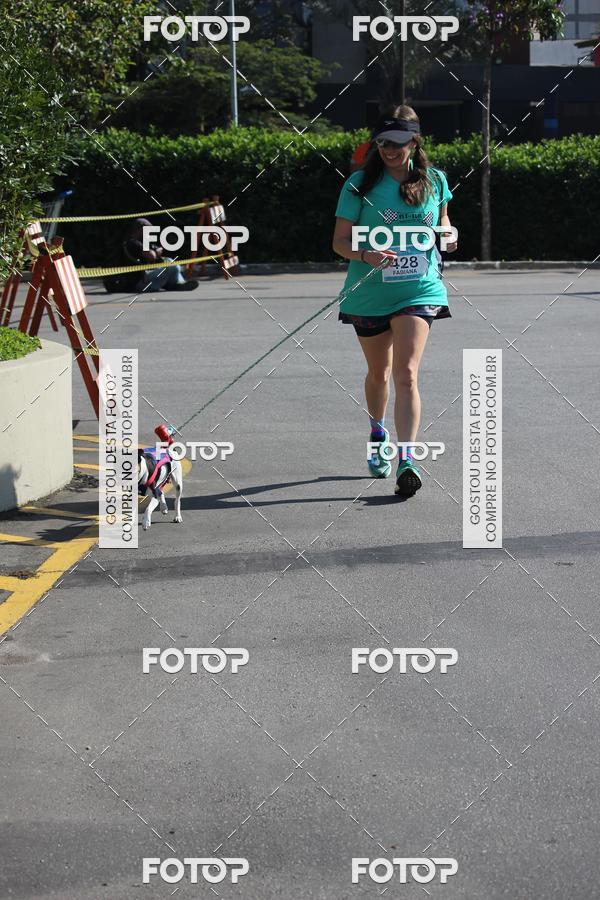 Buy your photos of the event2 Pet Run Shopping Eldorado  on Fotop