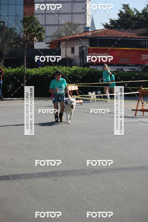 Buy your photos of the event2 Pet Run Shopping Eldorado  on Fotop