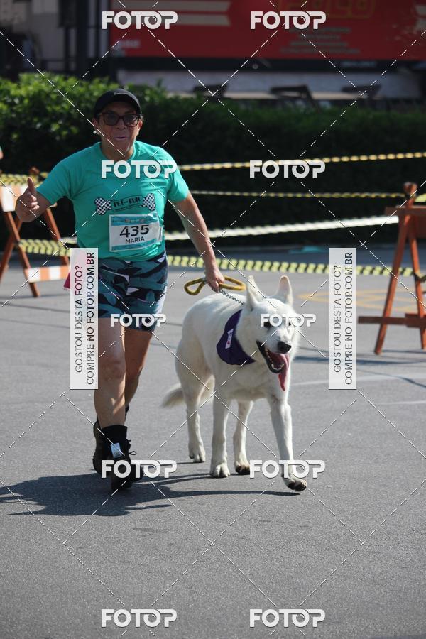 Buy your photos of the event2 Pet Run Shopping Eldorado  on Fotop