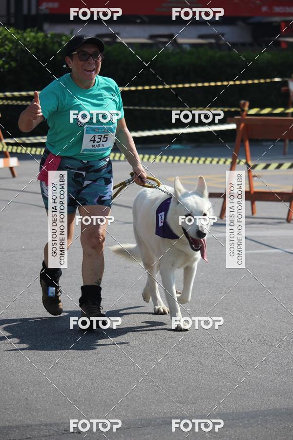 Buy your photos of the event2 Pet Run Shopping Eldorado  on Fotop