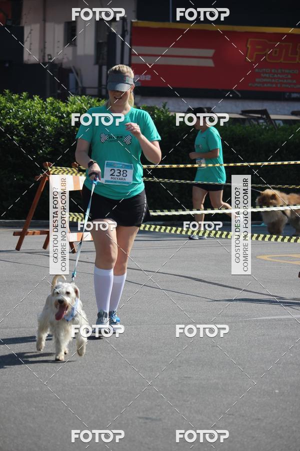 Buy your photos of the event2 Pet Run Shopping Eldorado  on Fotop