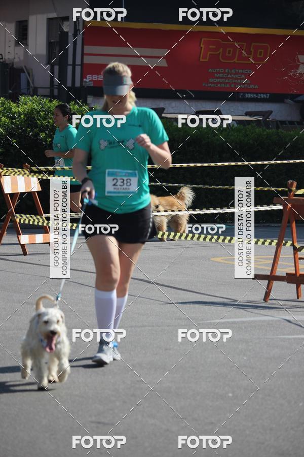 Buy your photos of the event2 Pet Run Shopping Eldorado  on Fotop