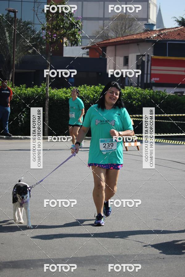 Buy your photos of the event2 Pet Run Shopping Eldorado  on Fotop