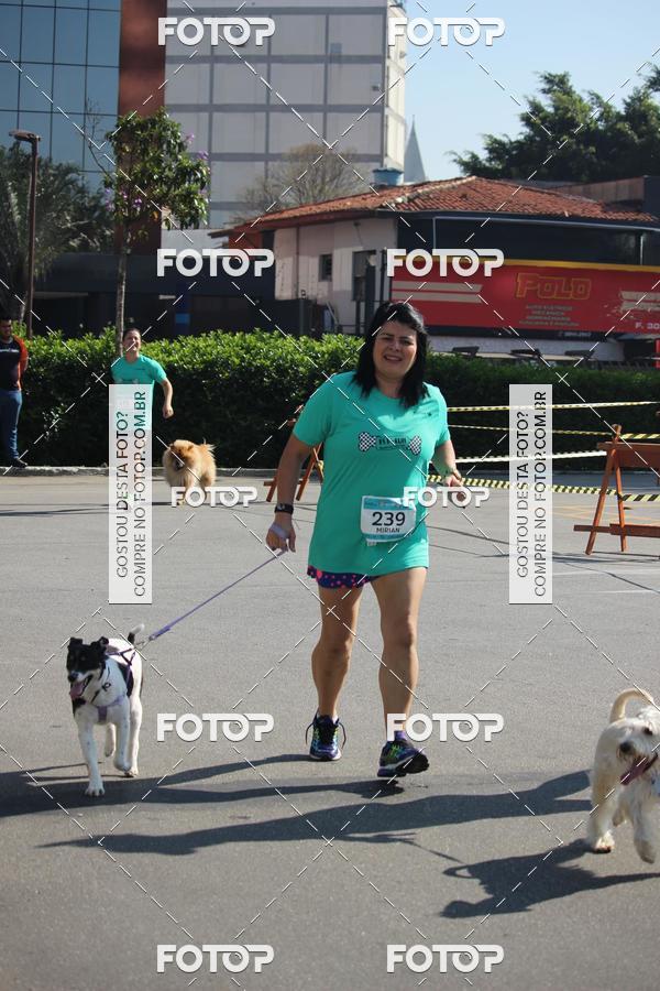 Buy your photos of the event2 Pet Run Shopping Eldorado  on Fotop