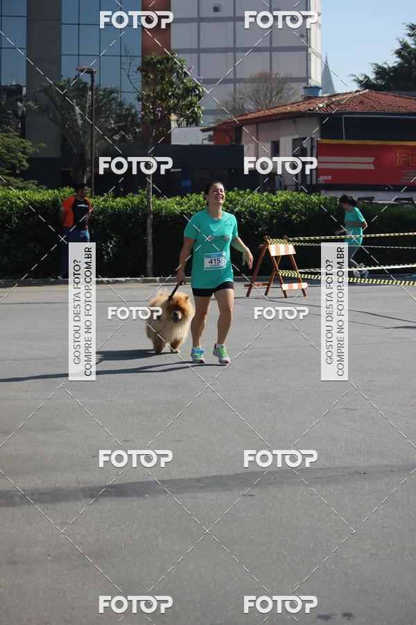 Buy your photos of the event2 Pet Run Shopping Eldorado  on Fotop