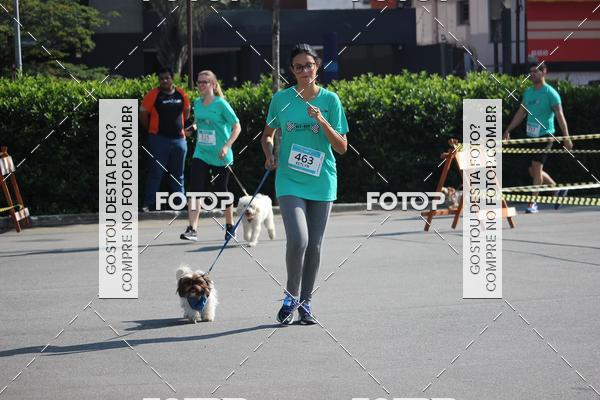Buy your photos of the event2 Pet Run Shopping Eldorado  on Fotop